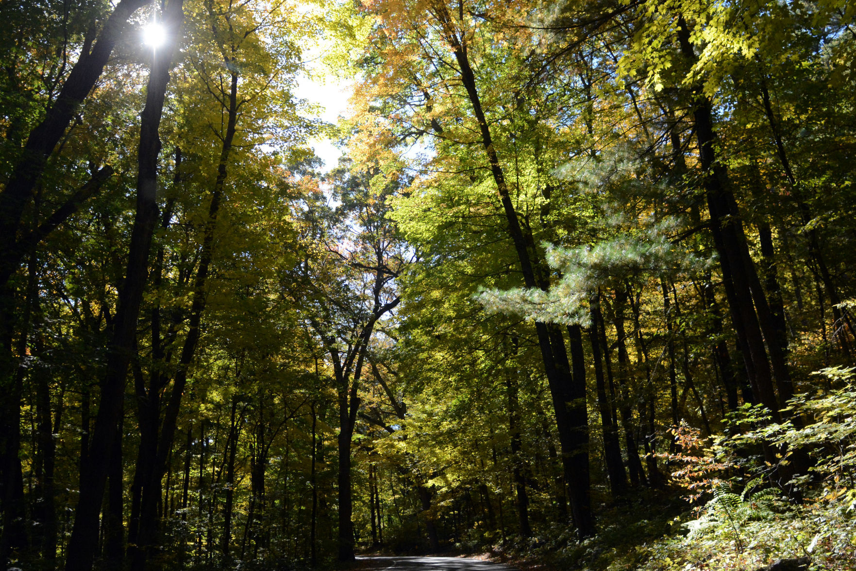 Baraboo area fall color, Oct. 8, 2020